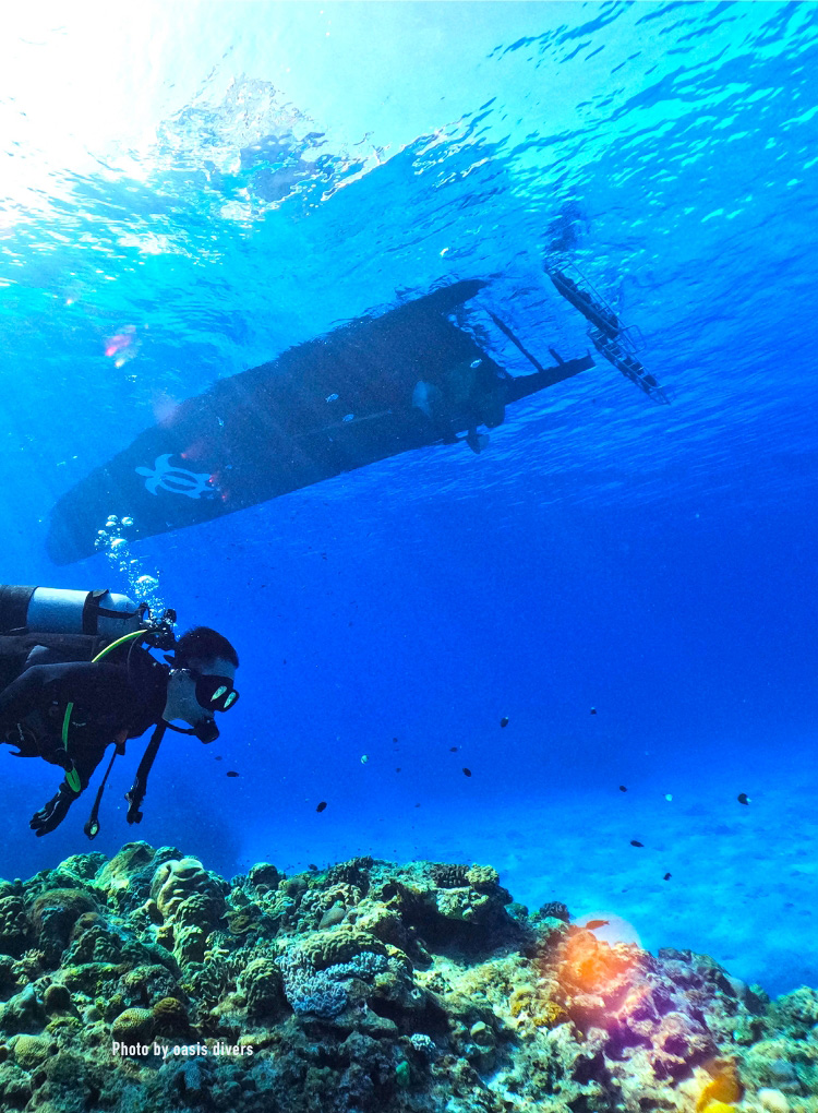 Okinawa, good place｜Enjoy 120% of tourism in Okinawa