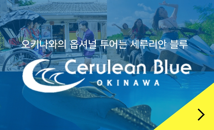 오키나와의 옵셔널 투어는 세루리안 블루까지!