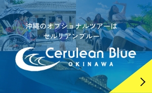 沖縄のオプショナルツアーはセルリアンブルーまで！