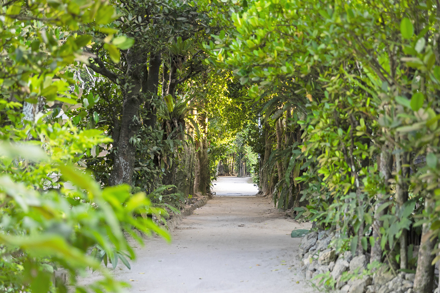 【沖縄の恵み】南国の風を感じる天然木 新規販売先のご案内】 . . . 沖縄本島の玄関口、那覇空港にある