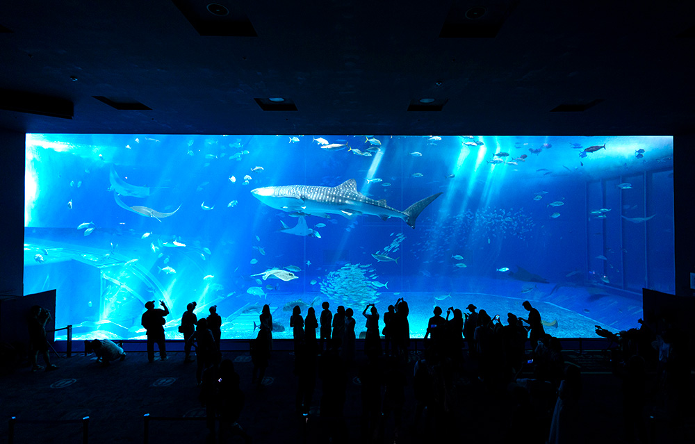 ミッドセンチュリーペースエイジ　ブルーペンダントライト　海　水族館 沖縄美ら海水族館 | NIPPURA株式会社
