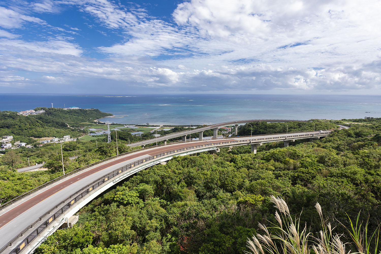 【分岐する風景】#001 Enjoy the natural beauty of Okinawa! Spectacular drive spot